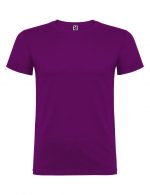 beagle_t-shirt_mplouza_mako