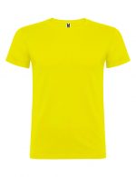 beagle_t-shirt_mplouza_mako